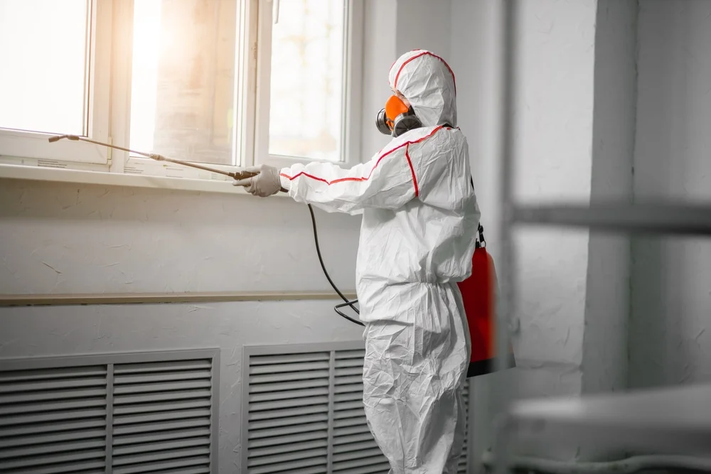 Professional mold remediation services in Rossville, IN